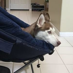 Meet your Posher, Reggie